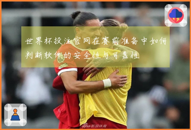 世界杯投注官网在赛前准备中如何判断软件的安全性与可靠性